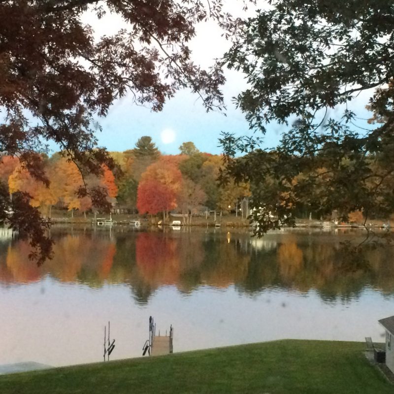 e – IMG_0535 fall e - IMG_0535 fall